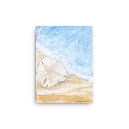 Sand Dollar on Canvas - Image 2