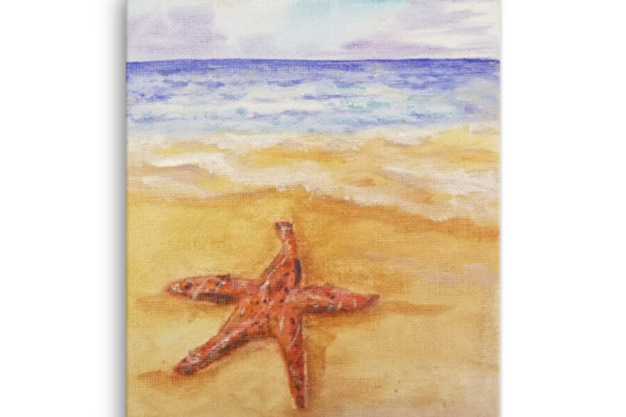 star fish, beach, ocean, wave shells, watercolor