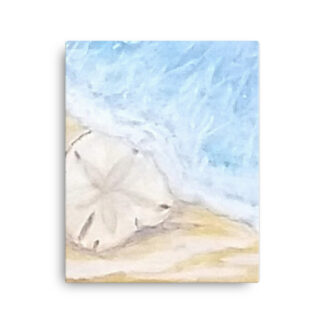 Sand Dollar on Canvas