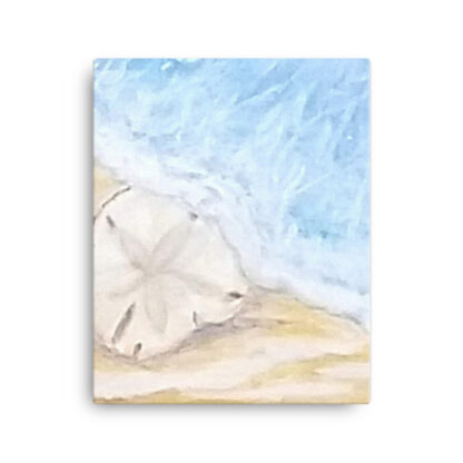 Sand Dollar on Canvas