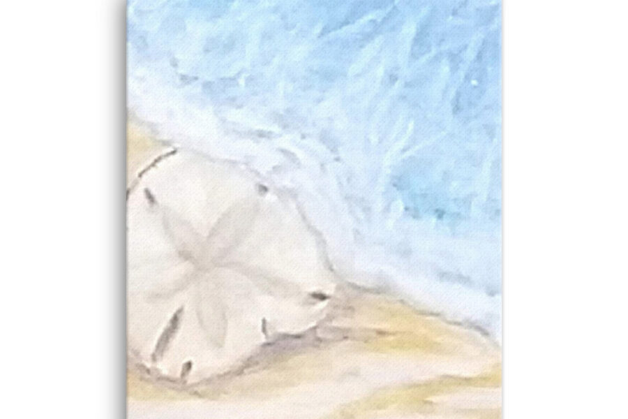 sand dollar, ocean, wave, beach, blue