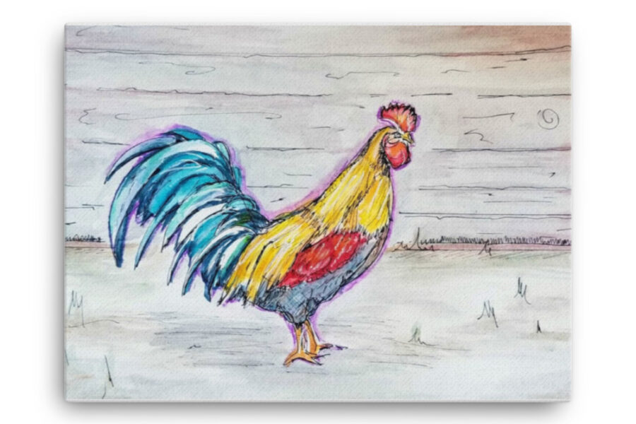 colorful rooster in yard