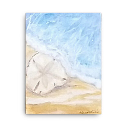 Sand Dollar on Canvas - Image 3