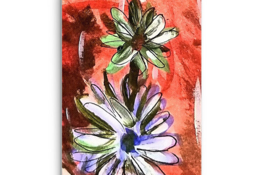 daisies, daisy, abstract, red