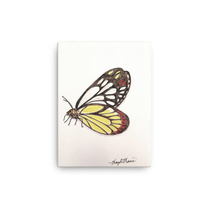 Jezebel Butterfly on Canvas - Image 2