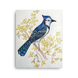 Blue Jay on Canvas