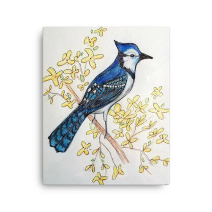 Blue Jay on Canvas