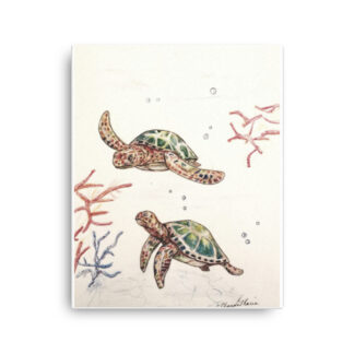 Sea Turtles on Canvas