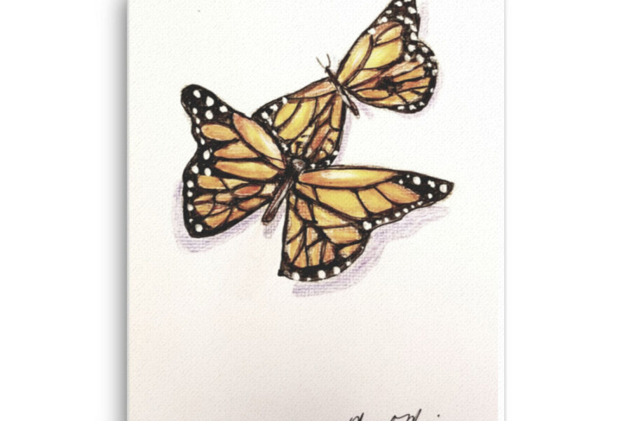 monarch, monarch butterfly, orange, watercoor