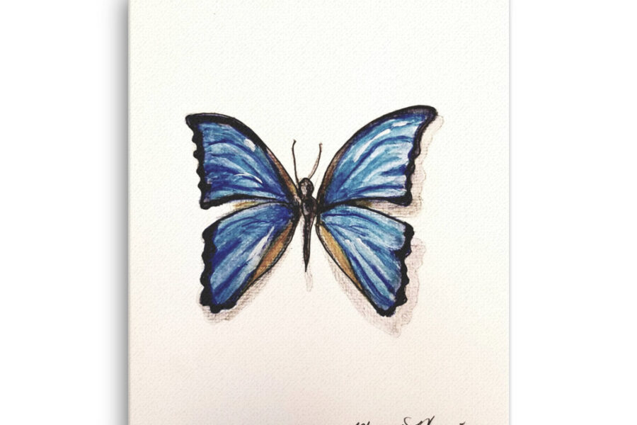 Blue, Morpho butterfly, blue butterfly, blue, watercolor