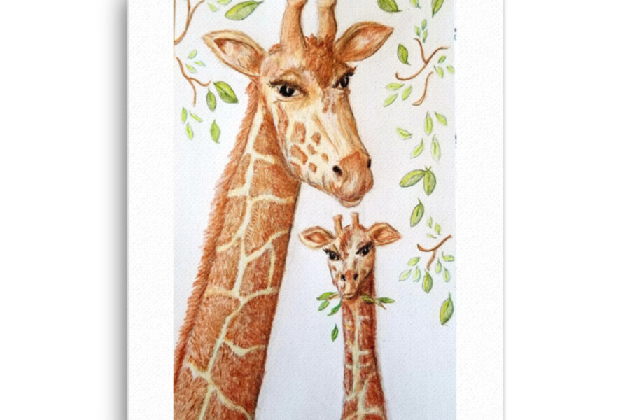 giraffe and baby, giraffe, animal, color pencil