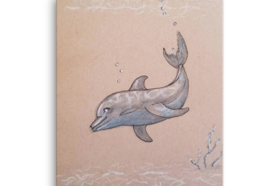 dolphin swimming ocean color pencil