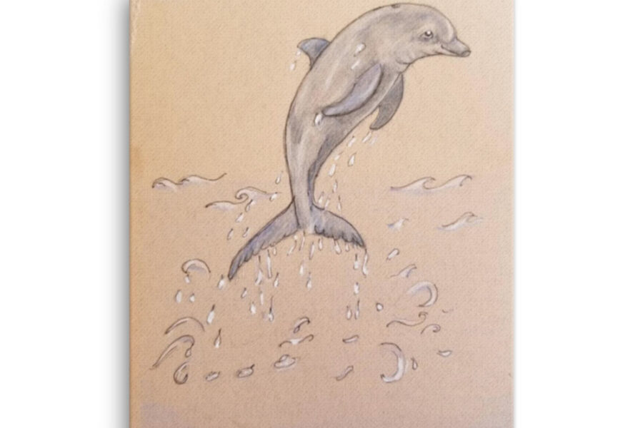 dolphin jumping ocean color pencil