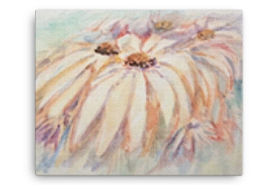 daisies, watercolor