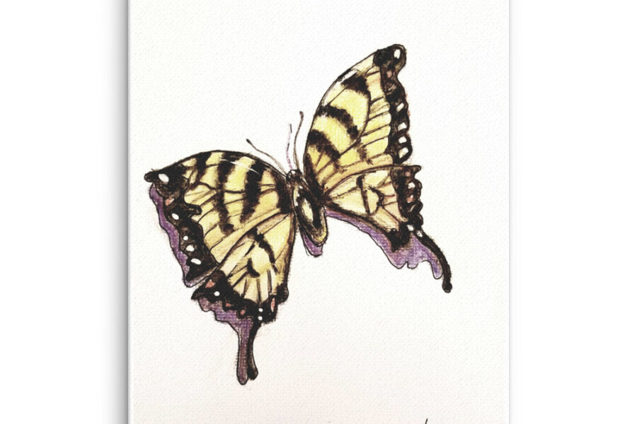 yellow swallowtail butterfly, butterfly, yellow