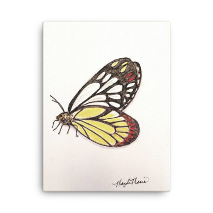 Jezebel Butterfly on Canvas - Image 3