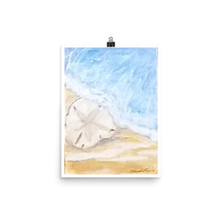 Sand Dollar Print