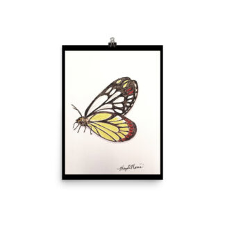 Jezebel Butterfly Print
