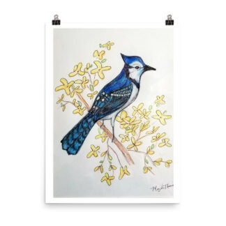 Blue Jay Print