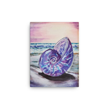 Shell in PurpleCanvas - Image 2