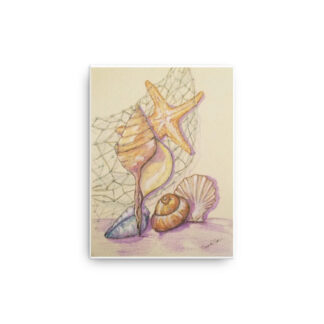 Shells and Net Canvas