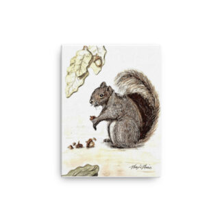 Squirrel Canvas