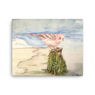 Pink Cardinal Canvas