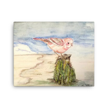 Pink Cardinal Canvas