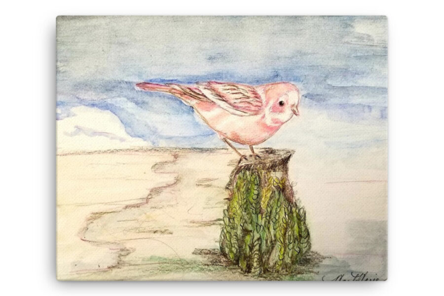 pink cardinal color pencil