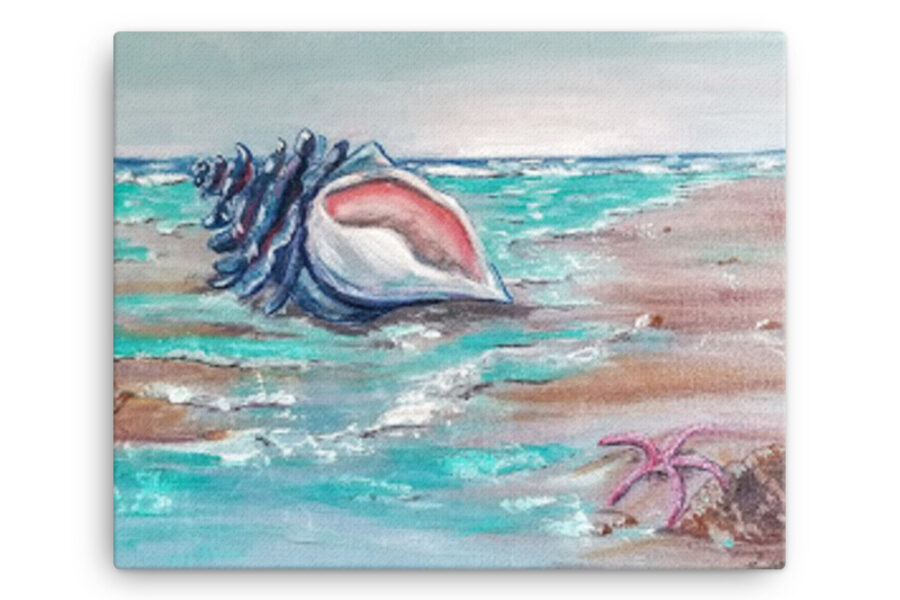 beach shell waves blue