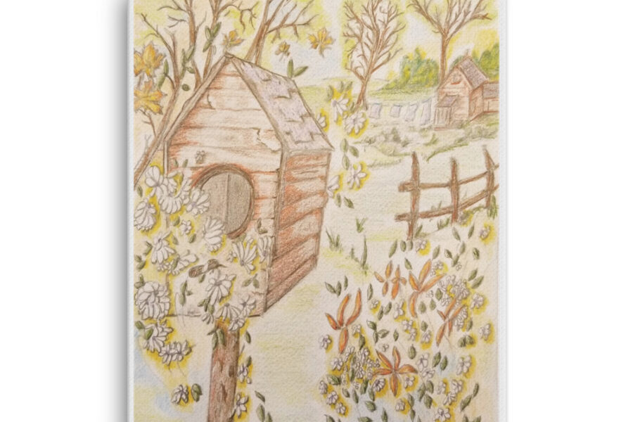 color pencil birdhouse lane