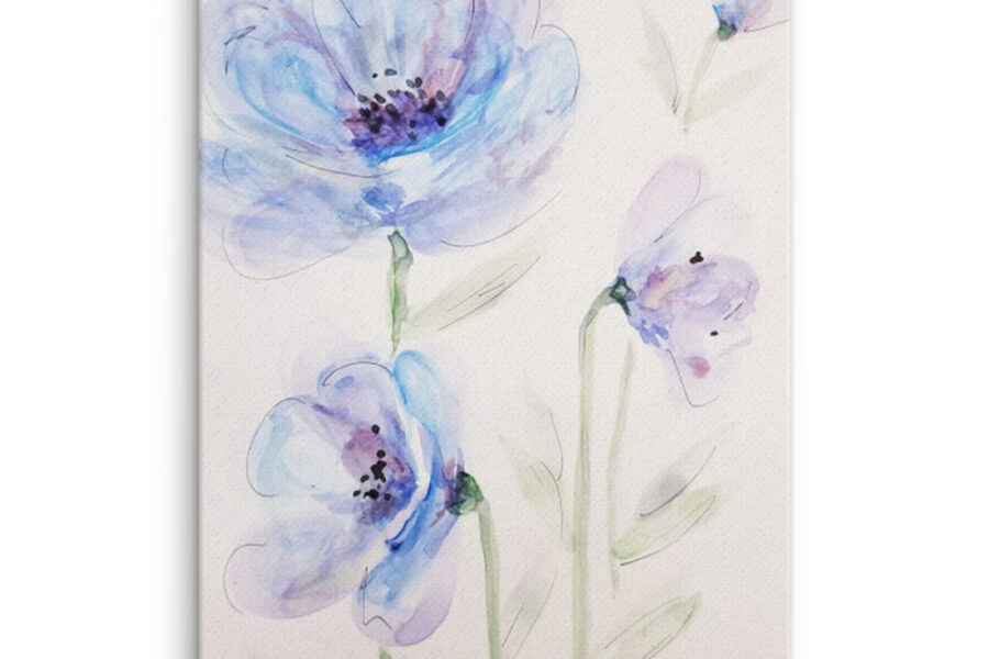 blue flowers watercolor daisy