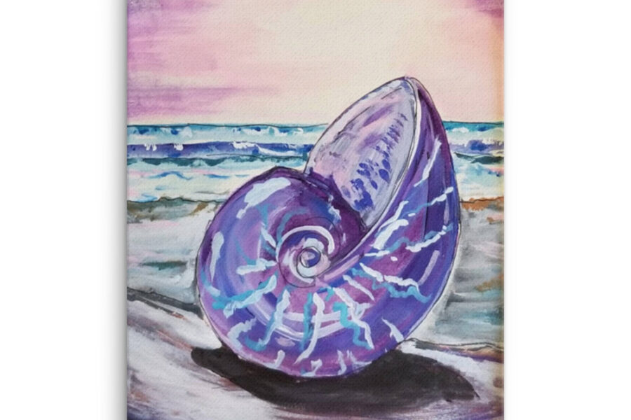 seashell beach purple ocean