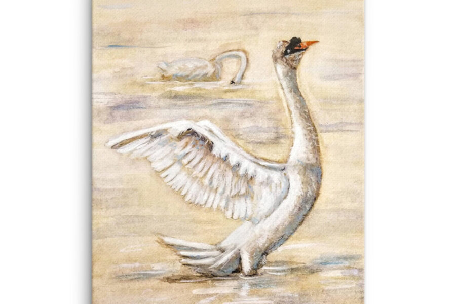 swan gold watercolor bird