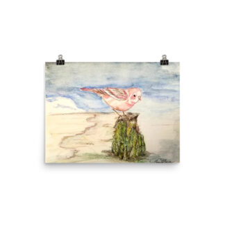 Pink Cardinal Photo paper poster