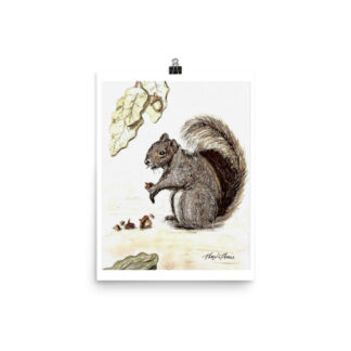 Squirrel Photo paper poster