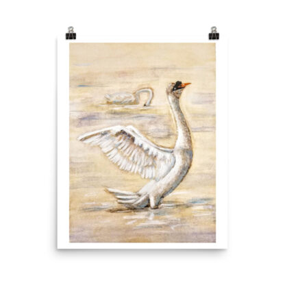 Swan Photo paper poster - Image 2